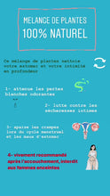 Charger l'image dans la galerie, Tisane mélange de plantes (en sachet de thé) cure de 7-14jours